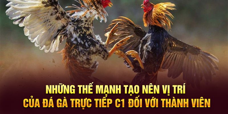 Những thế mạnh tạo nên vị trí của đá gà trực tiếp C1 đối với thành viên 