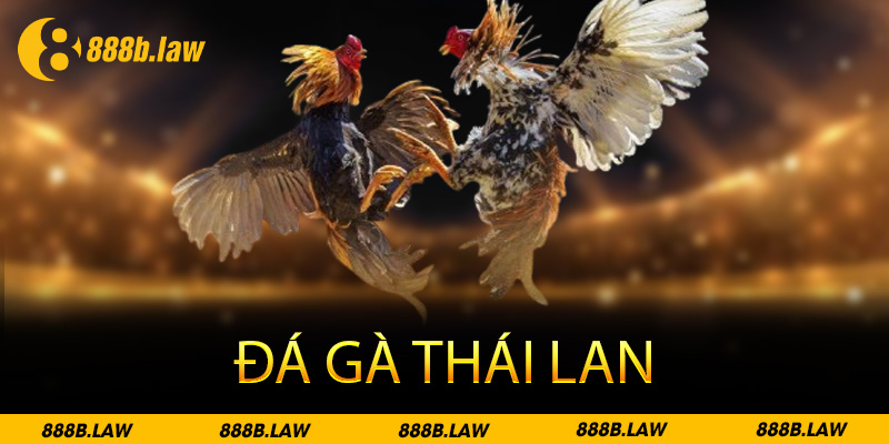 đá gà thái lan 888b