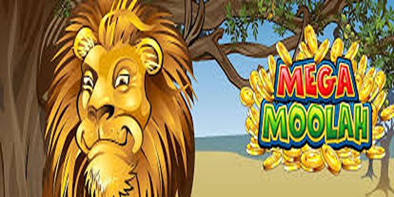 Bật mí kinh nghiệm chơi Mega Moolah hiệu quả nhất