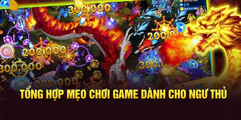 Tổng hợp mẹo chơi game dành cho ngư thủ