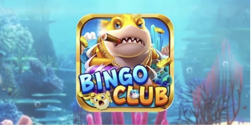 Tổng quan tất tần tật thông tin về cổng game Bingo Club