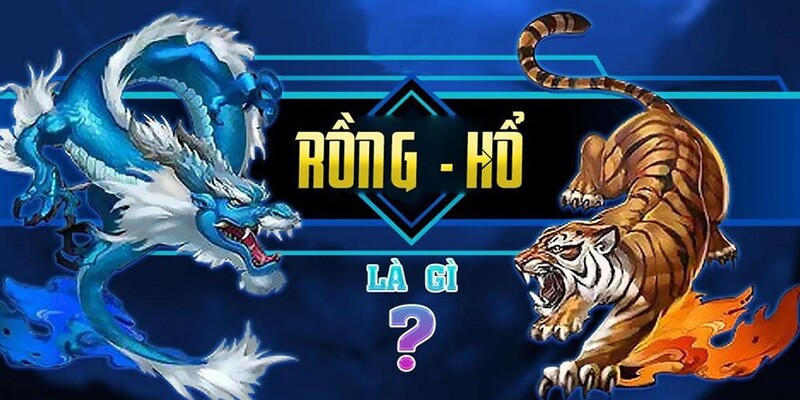 Rồng Hổ